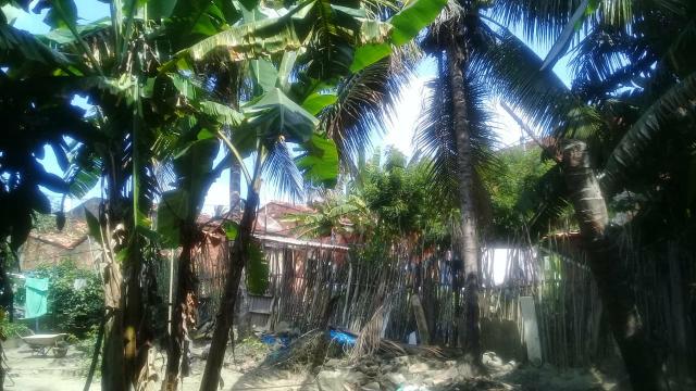 Sitio com casa maruim