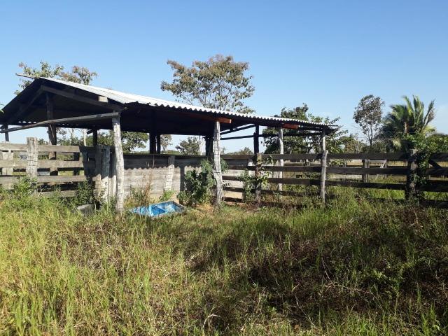 Fazenda há 50 km de Várzea Grande sentido Poconé - Foto 10