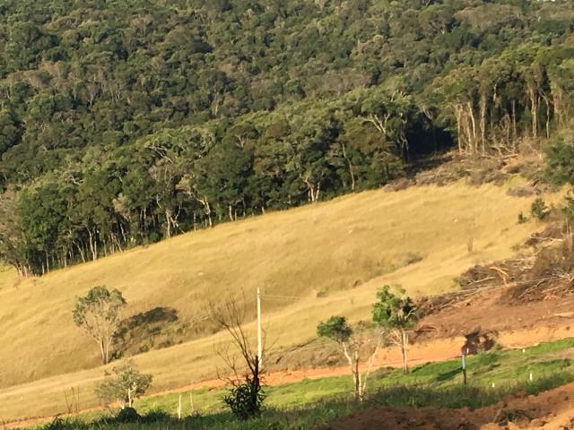 GE Mairiporã 500m2 lindo terreno por R$10.000 de entrada. - Foto 2