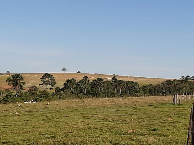 Fazenda Guiratinga MT 6.080 Ha - Foto 4