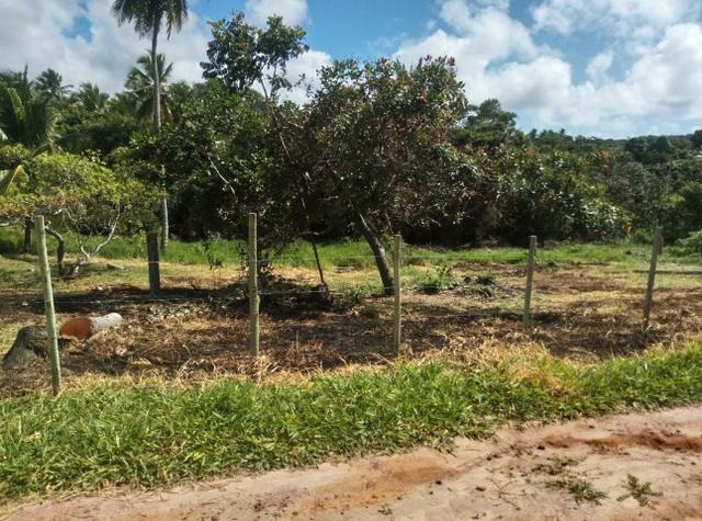 Oportunidade. Terreno 250m próximo linha verde, entre Praia do Forte e Imbassai - Foto 4
