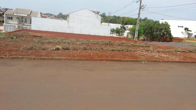 Terreno esquina 273 metros quitado Jardim América - Foto 3