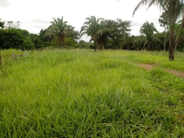Fazenda há 50 km de Várzea Grande sentido Poconé - Foto 11