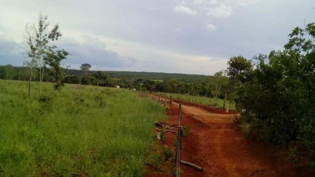 Fazenda Ribeirão - Foto 14