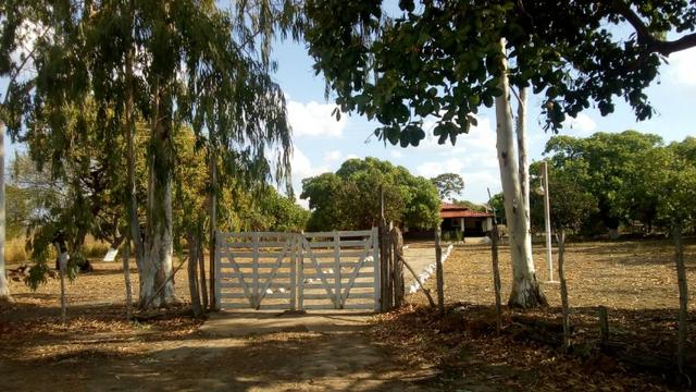 Propriedade Rural (S.Gonçalo do Piauí-Pi)