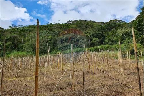 TERRENO EM ÁREA RURAL RECANTO VERDE DONA MARIANA - Foto 3