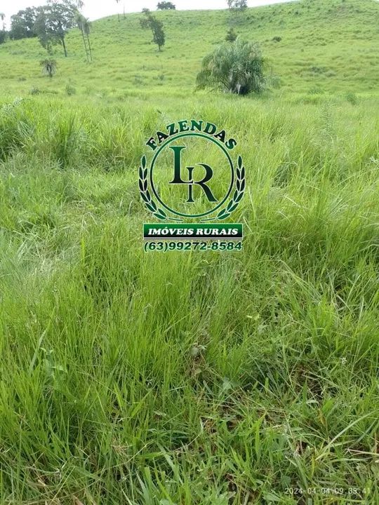 Chácara/Fazenda 11 alqueires  Próximo a Palmas - Foto 12