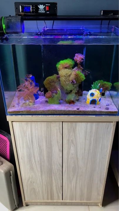 Aquário Marinho 150 Litros Completo Com Sump