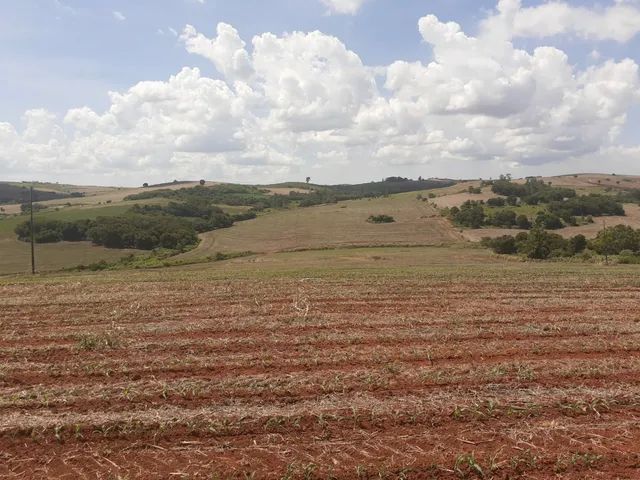 Sitio de 31 alqueiro 28 planta  - Foto 2