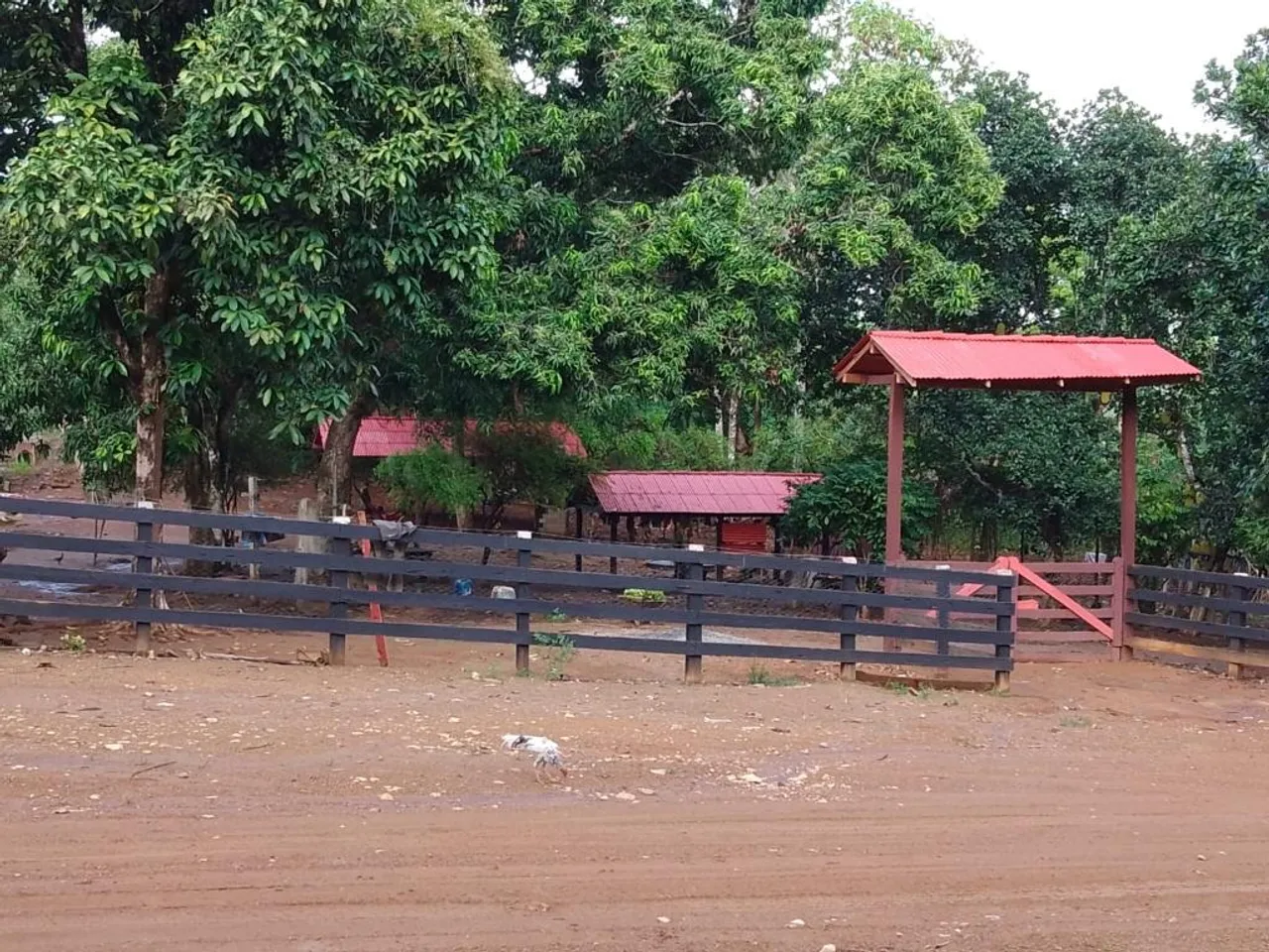 Vende se ou troca 300 equitares de terra