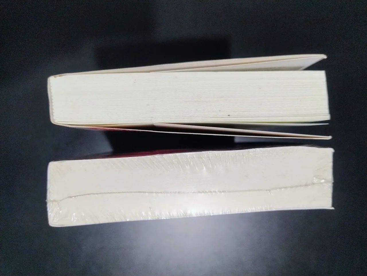 A Integração do Negro na Sociedade de Classe, Volumes 1 e 2 - Florestan Fernandes - Foto 3