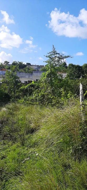 Terreno com área verde em ótima localização - Foto 3