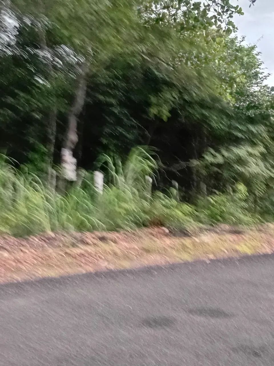 Vendo terreno a 100 metros do Rodoanel da Usina Santana/ Dirceu  - Foto 5