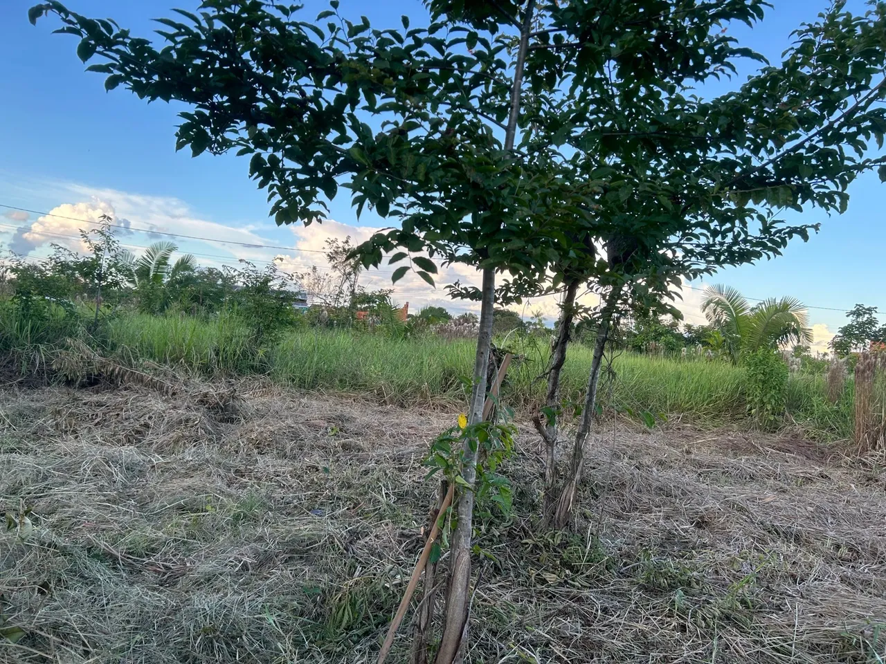 Vende- se terreno