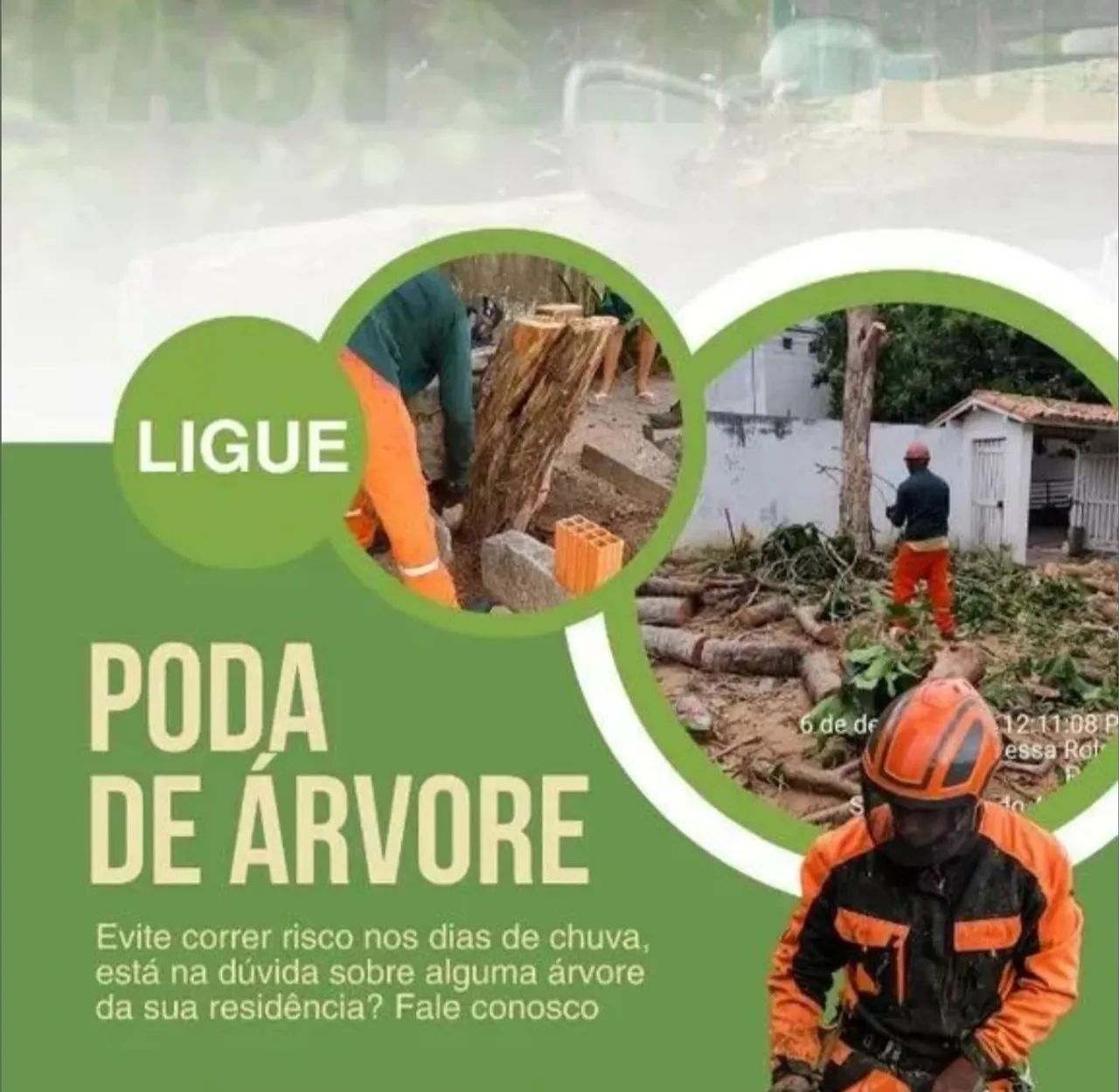 Serviço roçagem e poda de árvore limpeza de terreno  - Foto 2