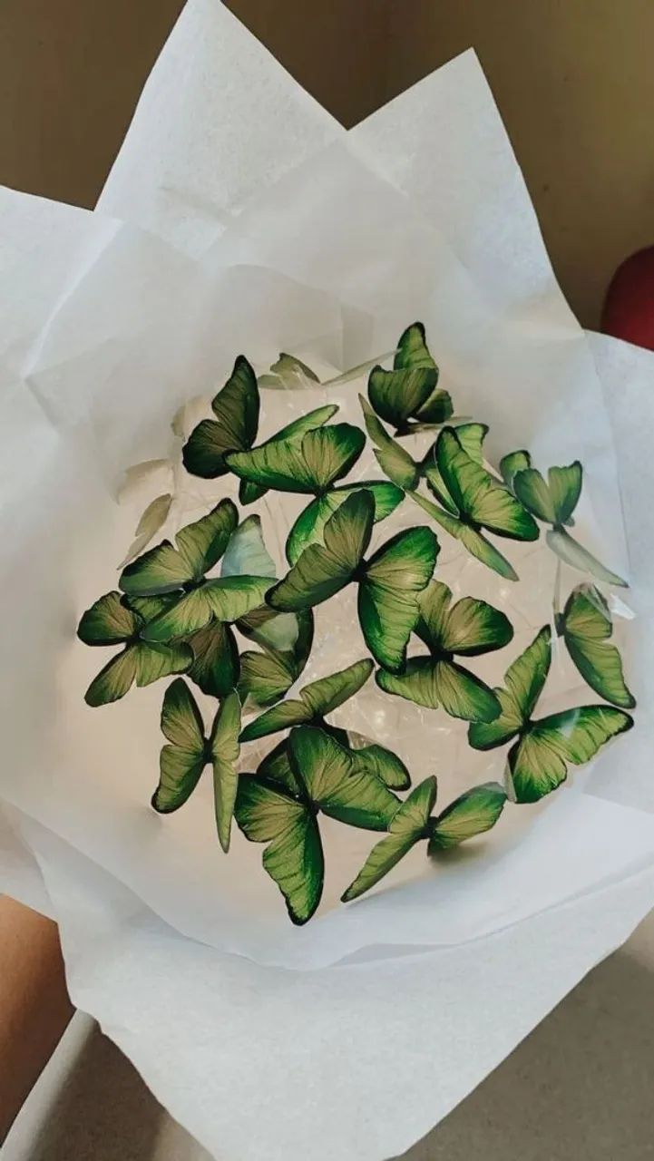 Buque de fotos e de borboletas  - Foto 5