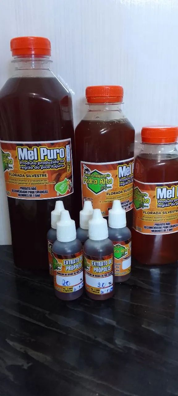 Mel Puro de Abelhas apis - Pico Itajuru - Foto 3