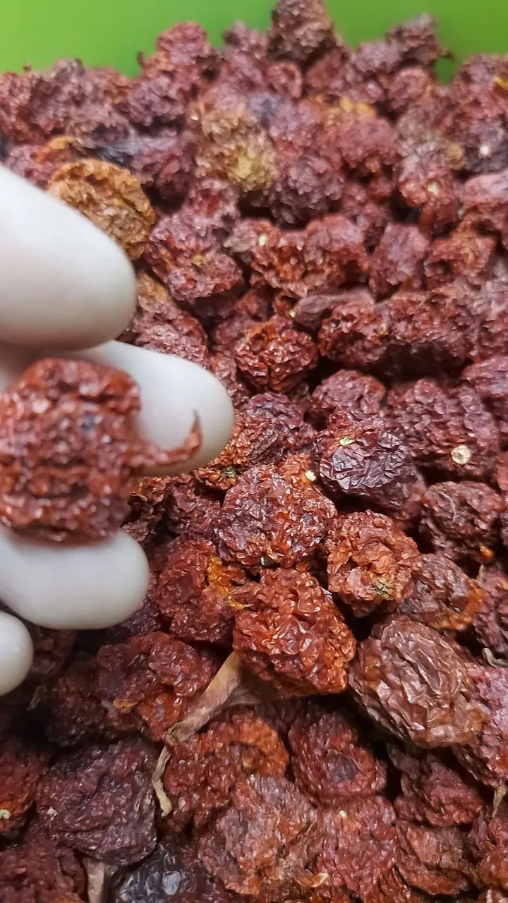 Molhos e Pimentas vulcânicas. Pimentas In natura e desidratadas. - Foto 6