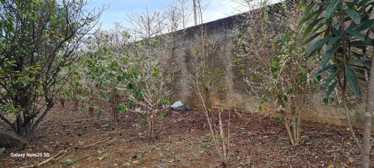 Excelente sitio bom para eventos festivos, retiro de igrejas em Novo gama