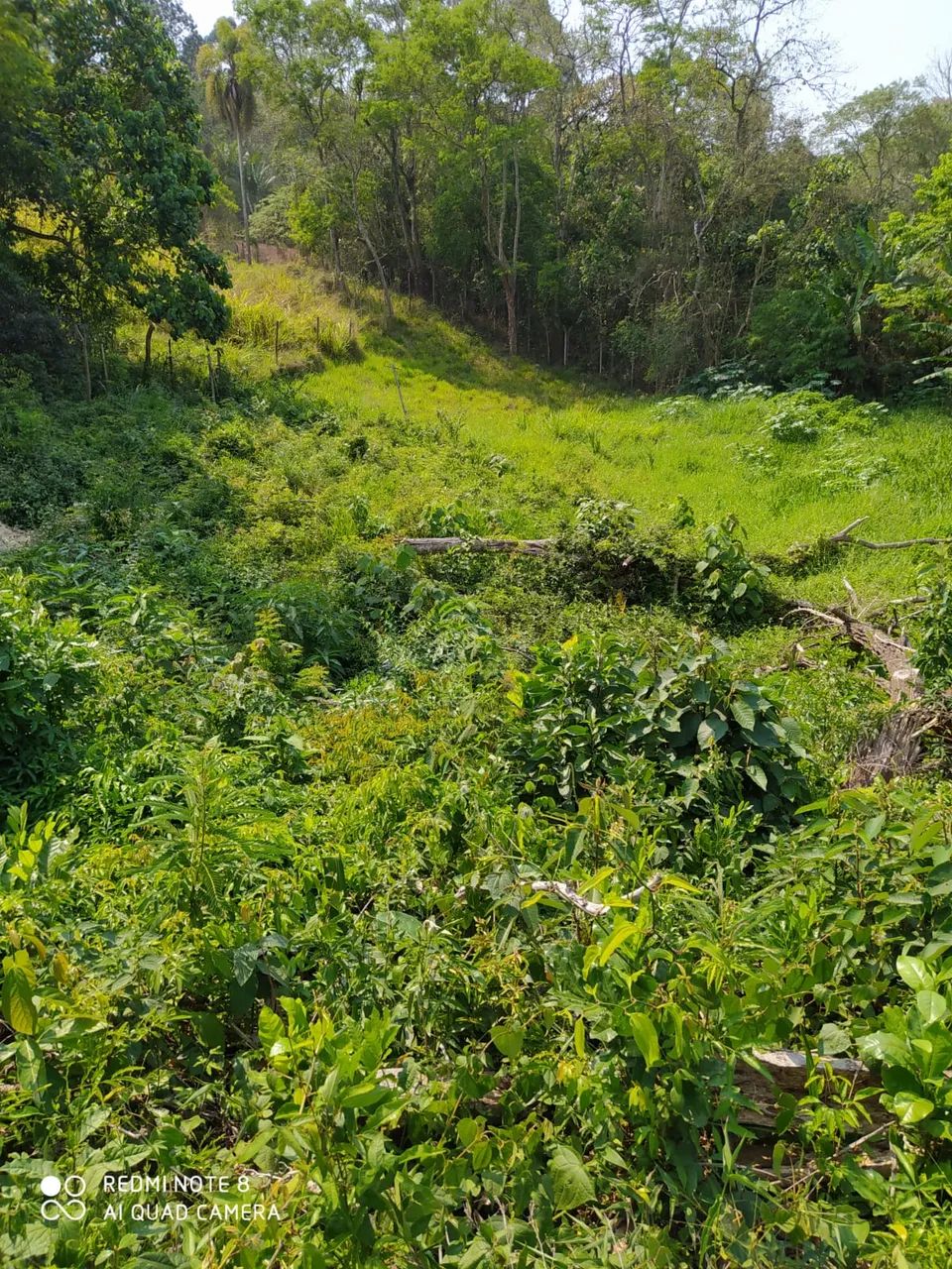 Lote/Terreno para venda tem 1410 metros quadrados em Jardim Nova Coimbra - Cotia - SP - Foto 2