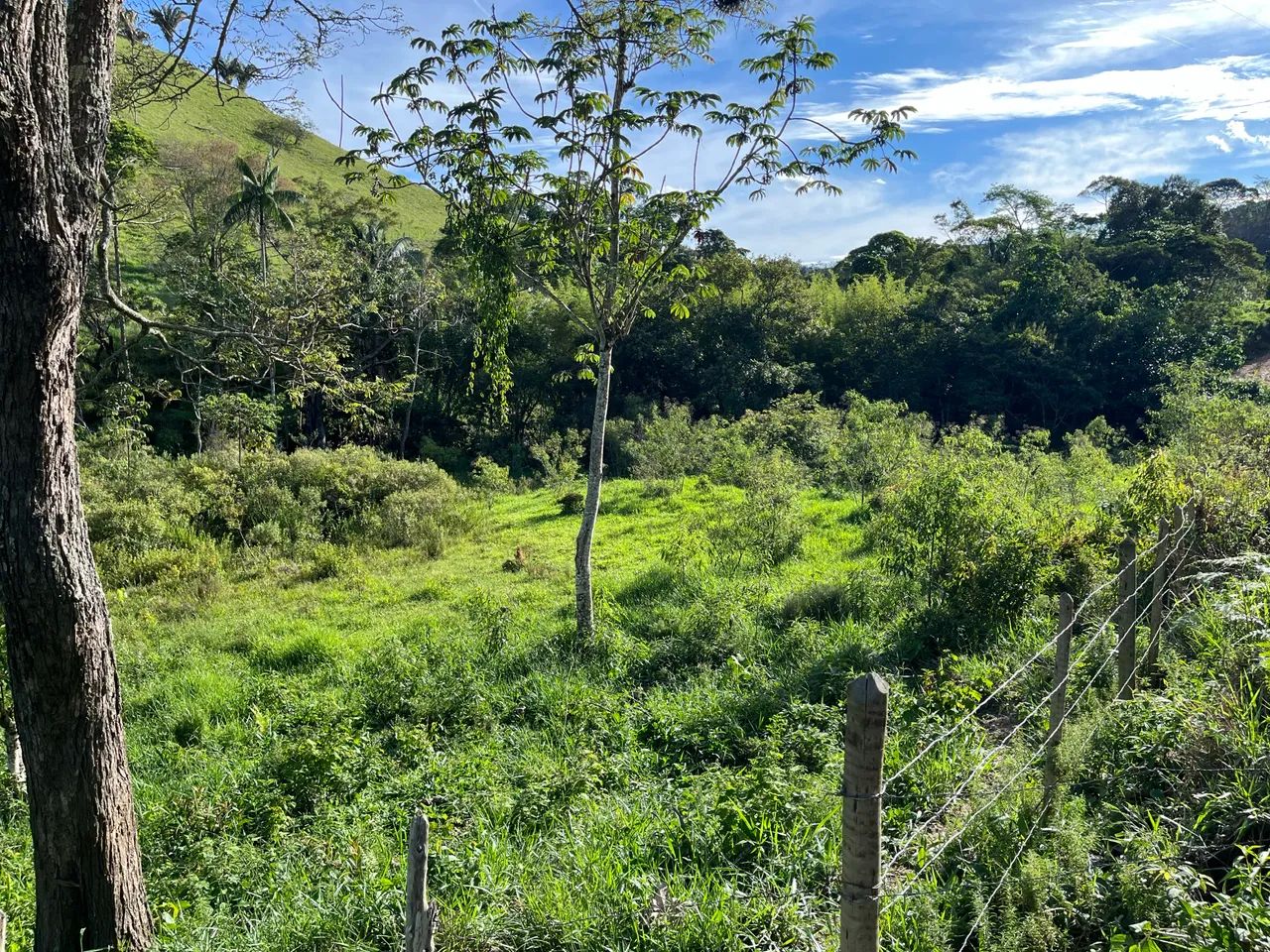 Terreno rico em água, 67 hectares. - Foto 5