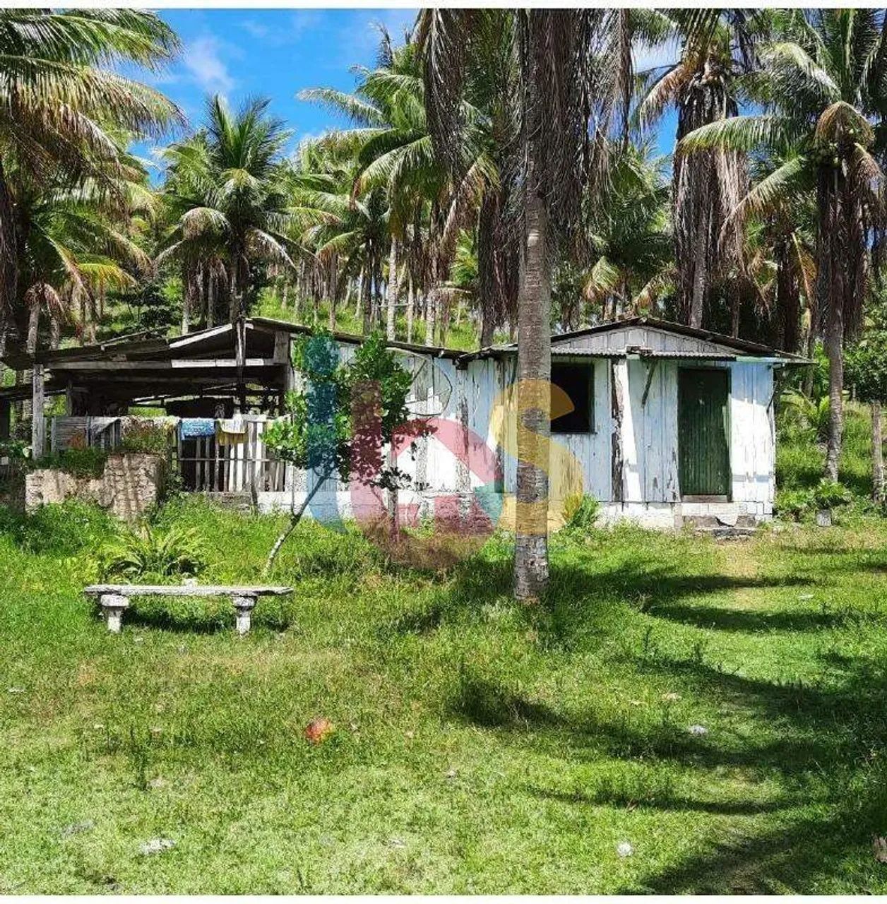 VENDO SITIO (LOTE) LENÇÓIS, UNA-BA - Foto 4