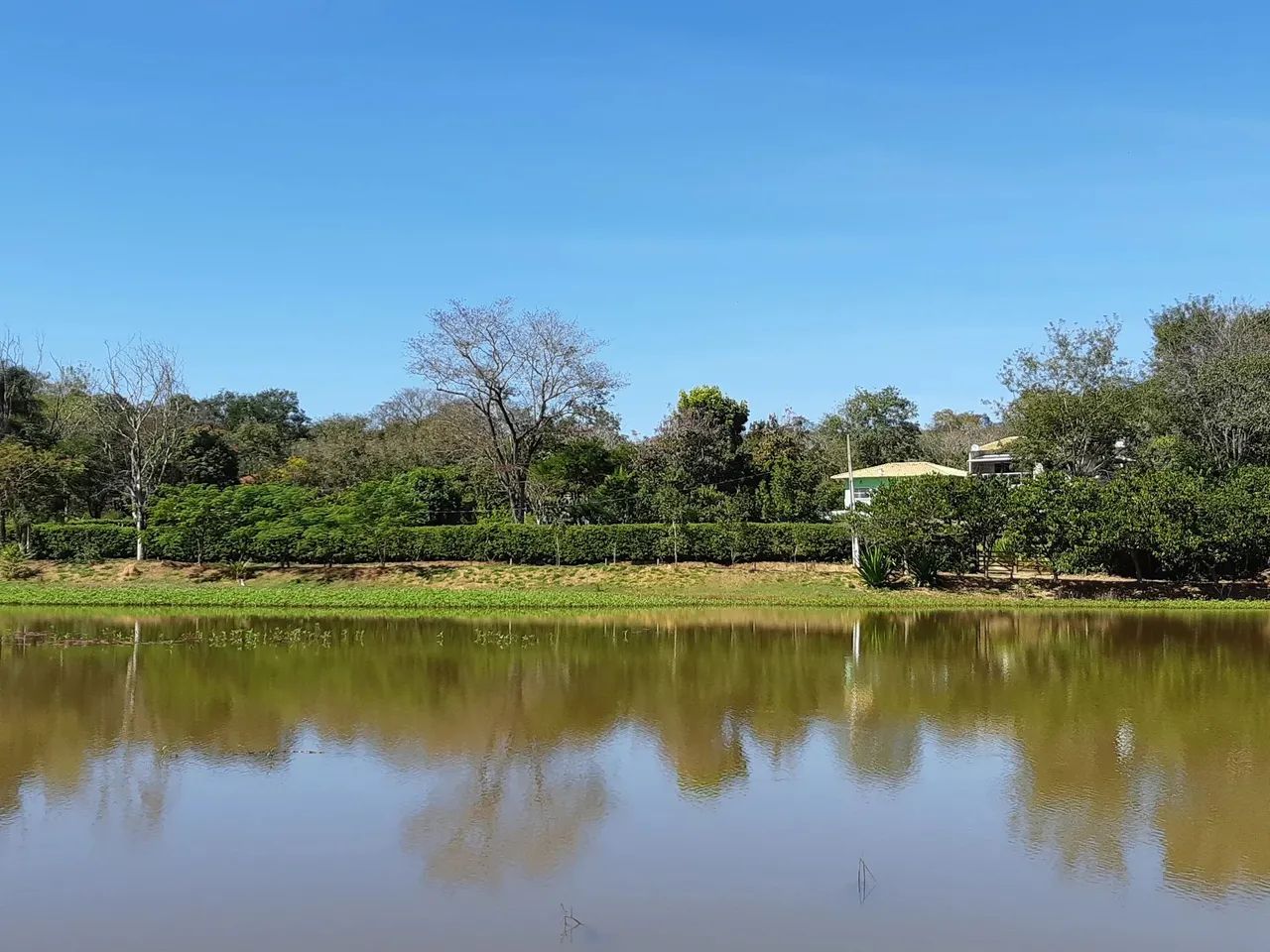 Terrenos 5.000m2 Prontos p Construir Financio c 36 Primeiras Parcelas Fixas