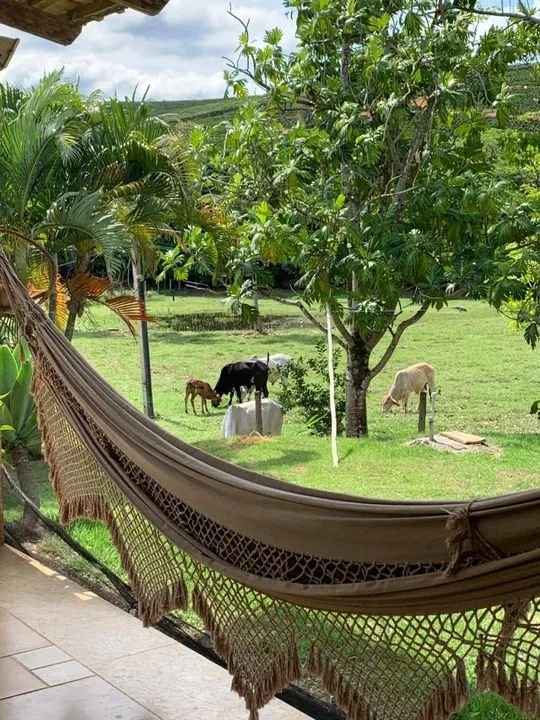 Vende-se terreno em Marilândia - ES - Foto 5