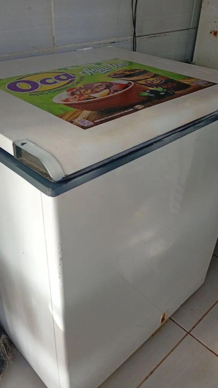 Freezer Esmaltec em ótimo estado 1100