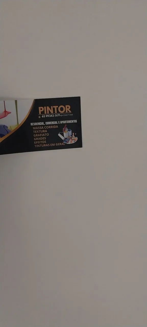 Sou pintor profissional  - Foto 3