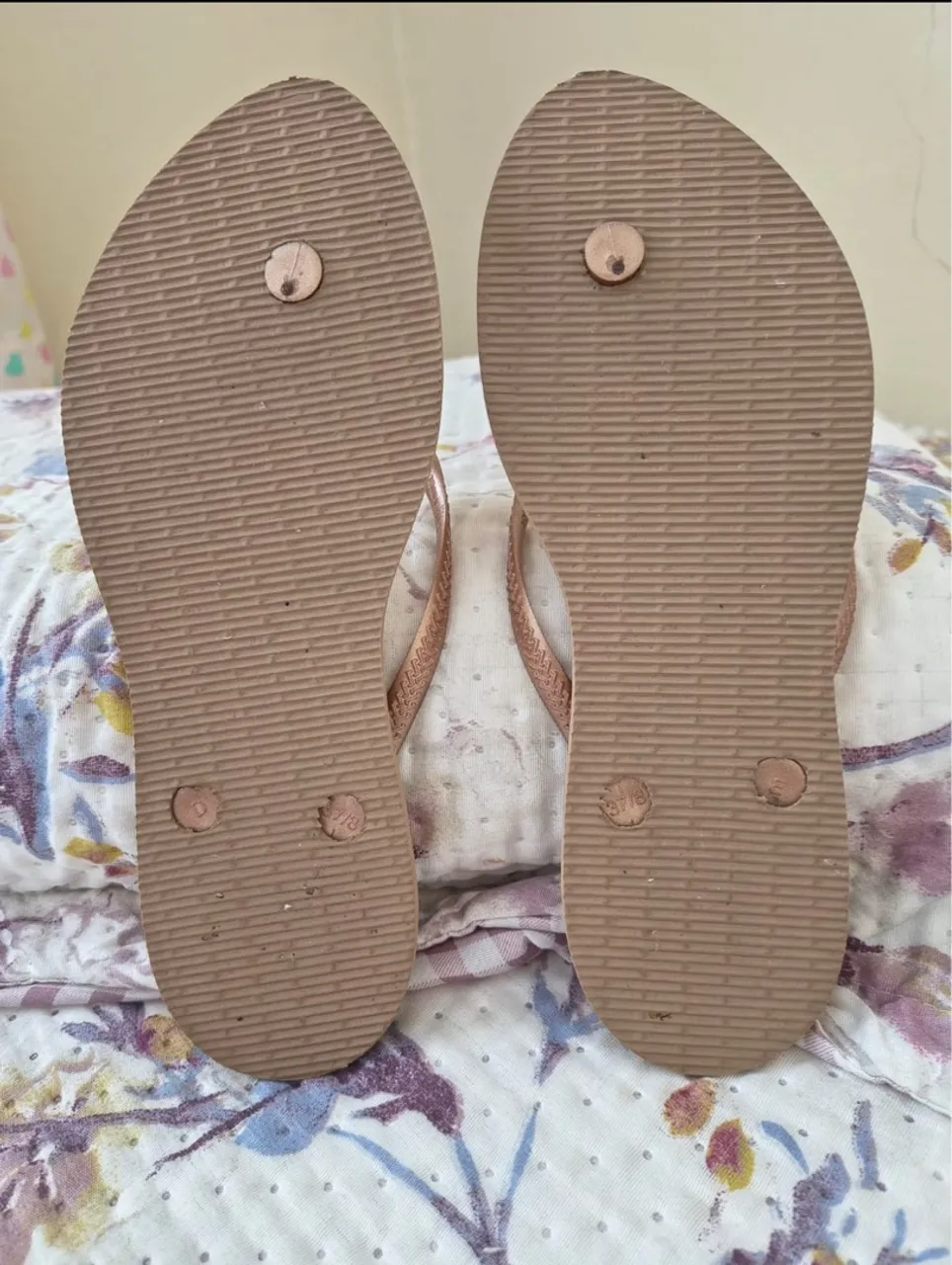 Chinelo Havaianas Feminino bege