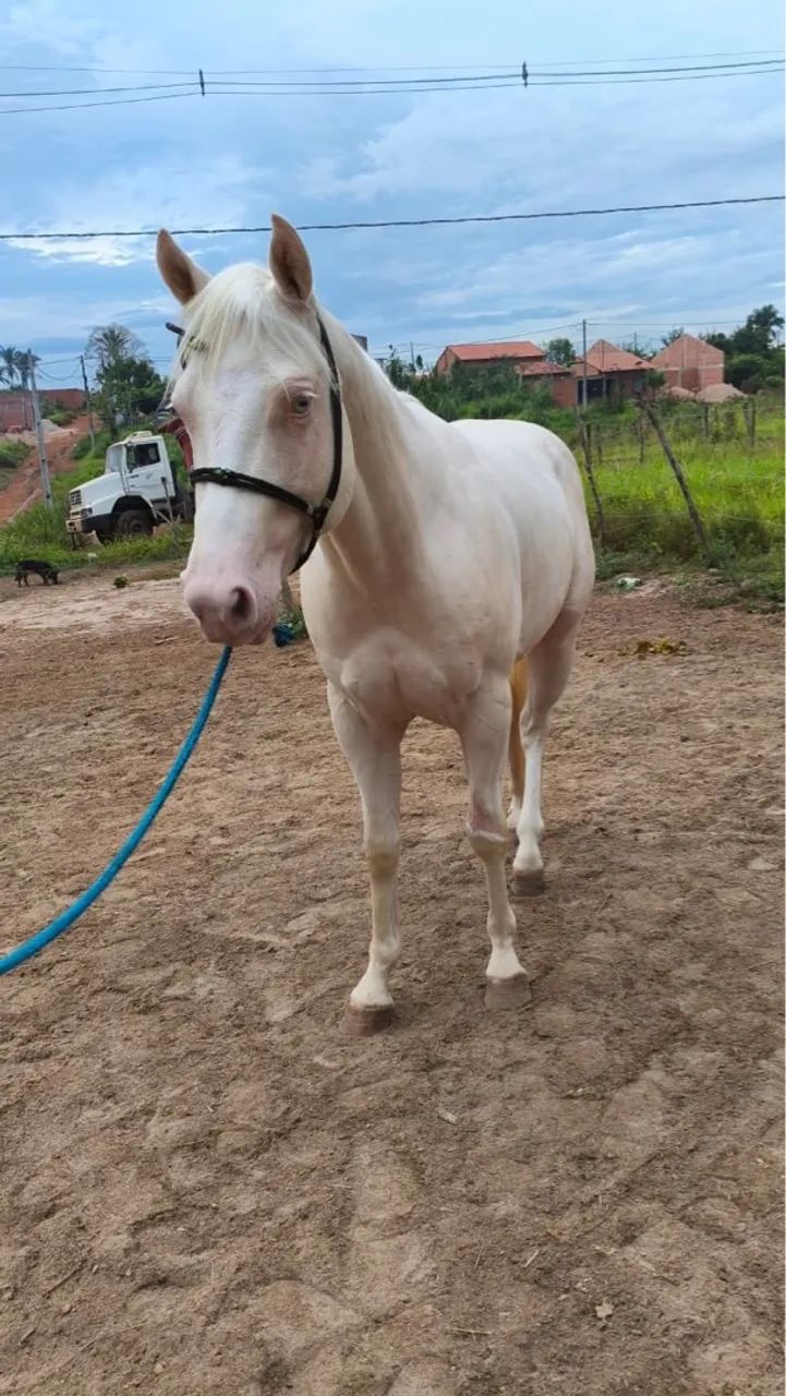 Destiny spark  - Foto 5