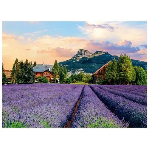 Quebra cabeça 500 peças - Campos de Lavanda lacrado - Foto 2