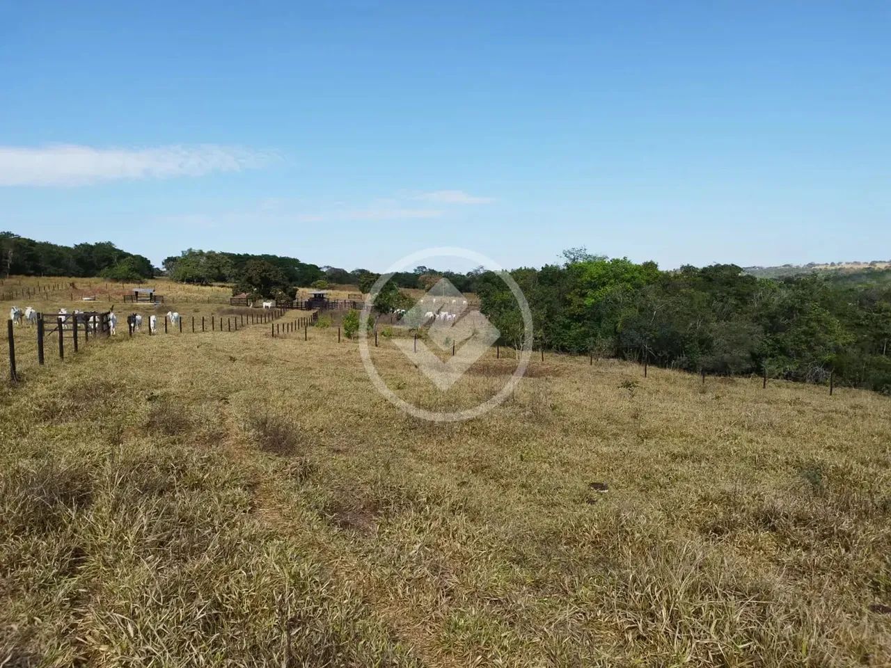 FAZENDA NA REGIÃO DE MORRINHOS/GO Área total: 128 hectares (aprox. 26,4 ...