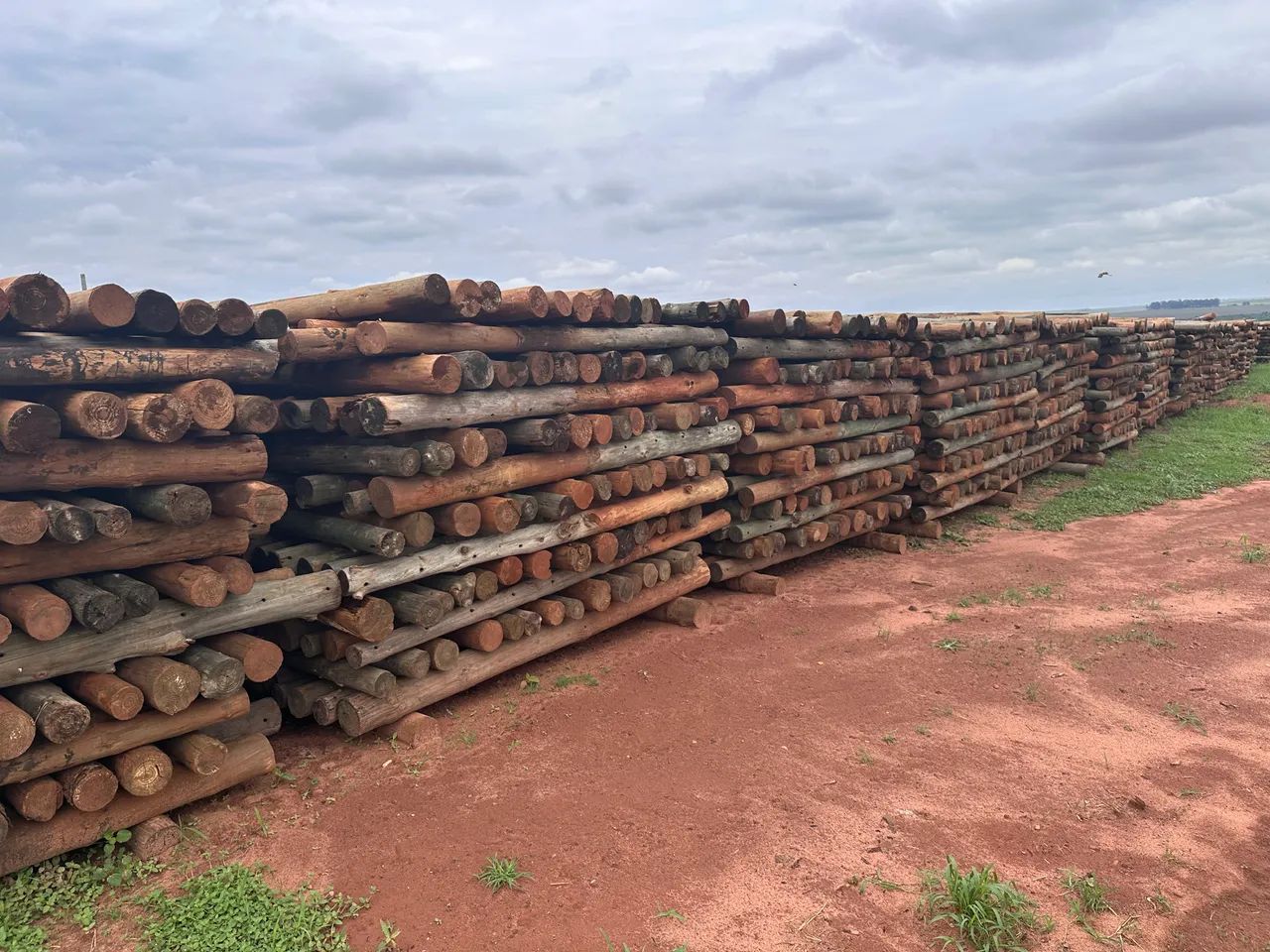 Poste pinus para cerca 