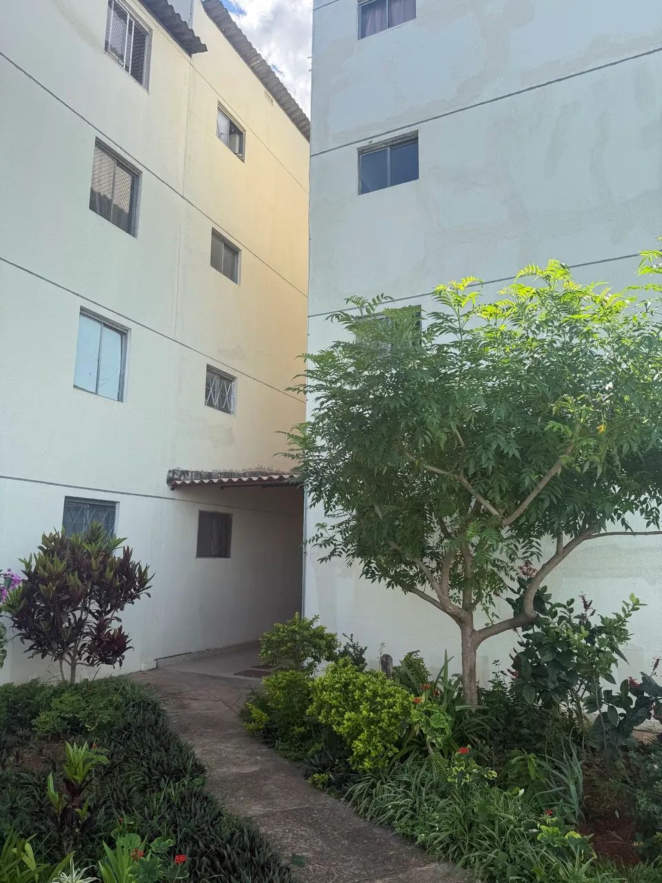 Foto - Brasília - Samambaia Sul (Samambaia)