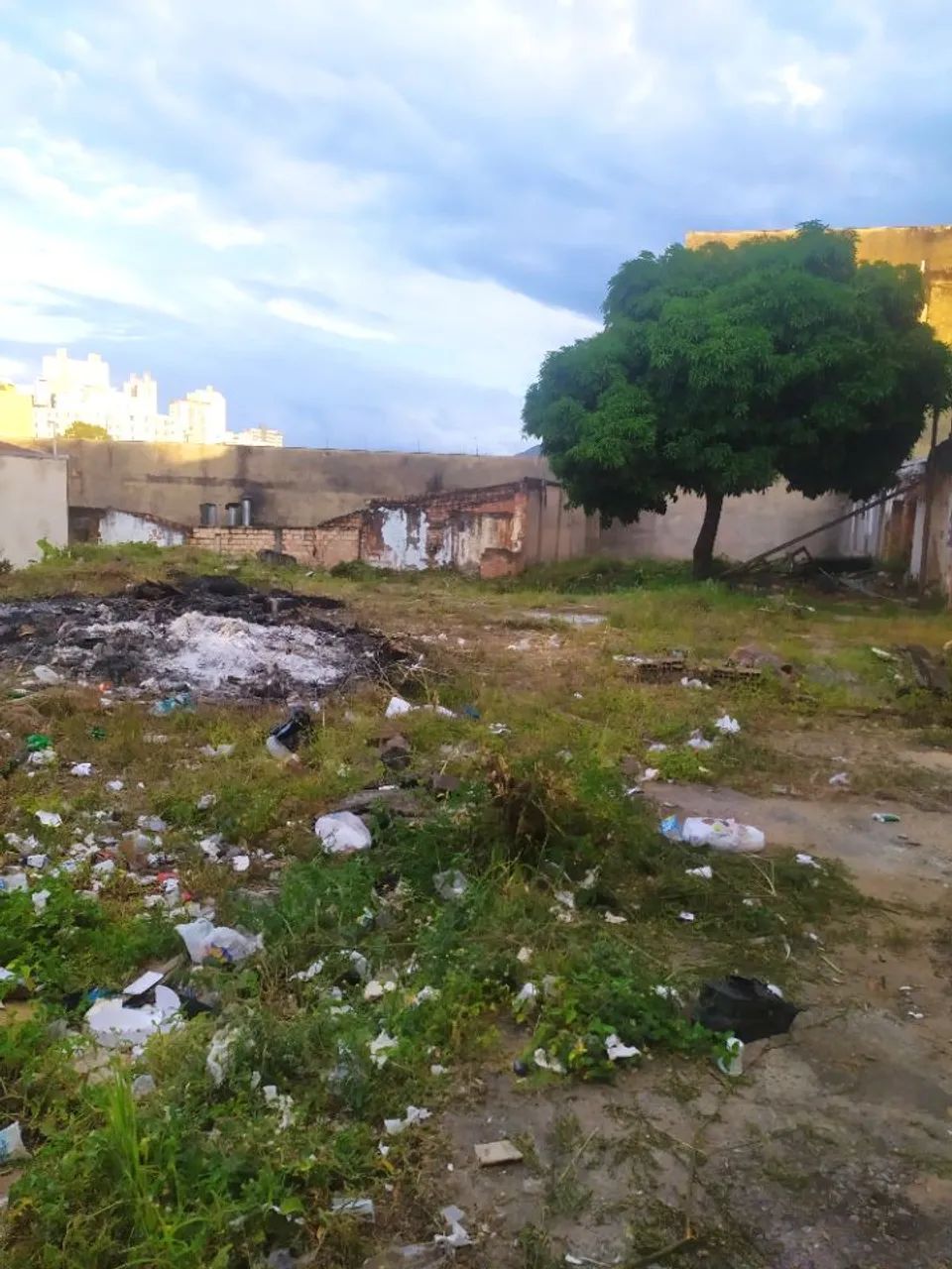 Terreno / Área Bairro Lagoinha