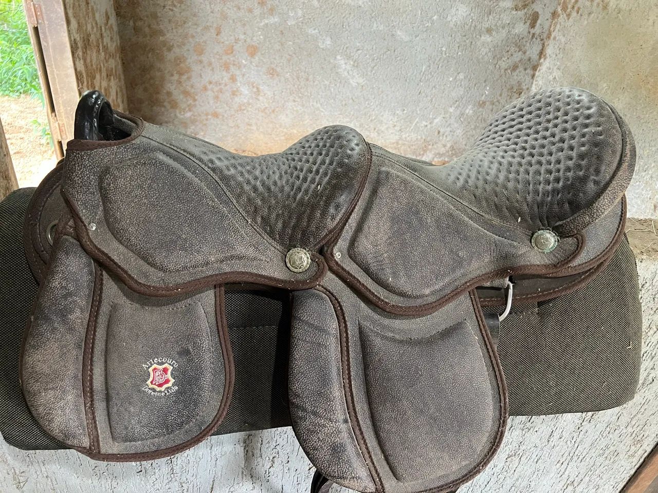 Sela australiana dupla, adulto e criança!