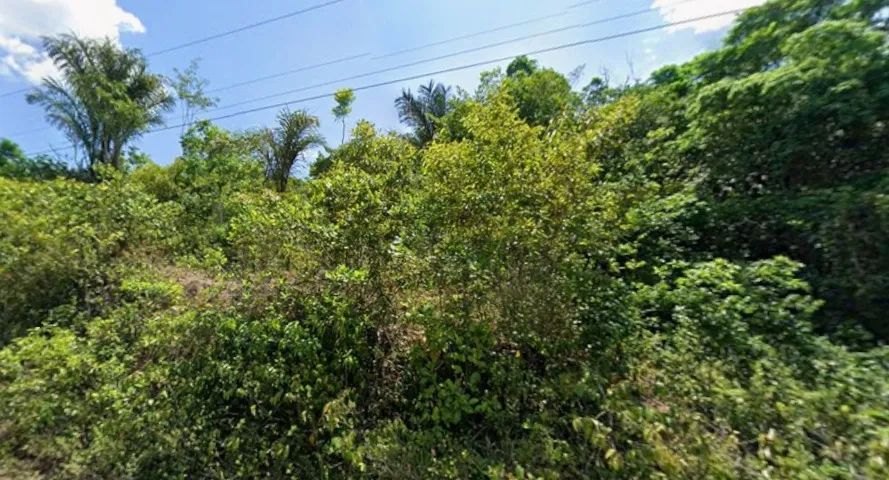 Vendo sitio na estrada de silves 500.000m²  - Foto 5