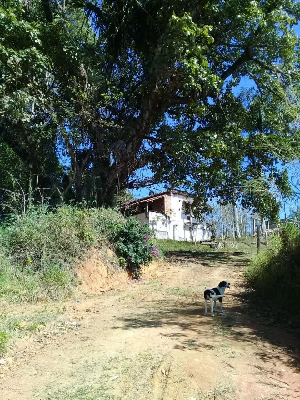 Propriedade Rural - Foto 2