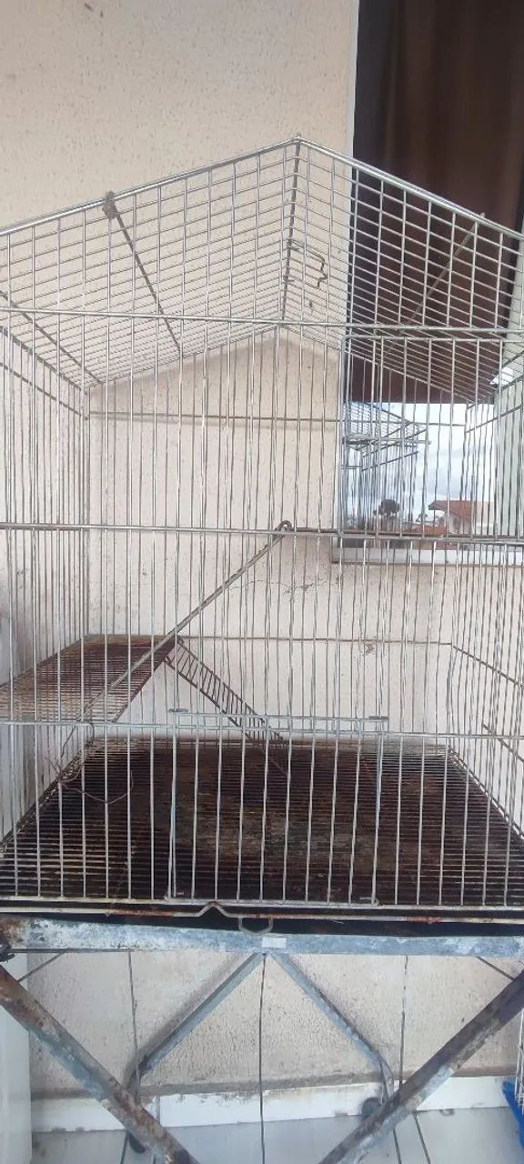 Gaiola para chinchila e outros roedores  - Foto 3