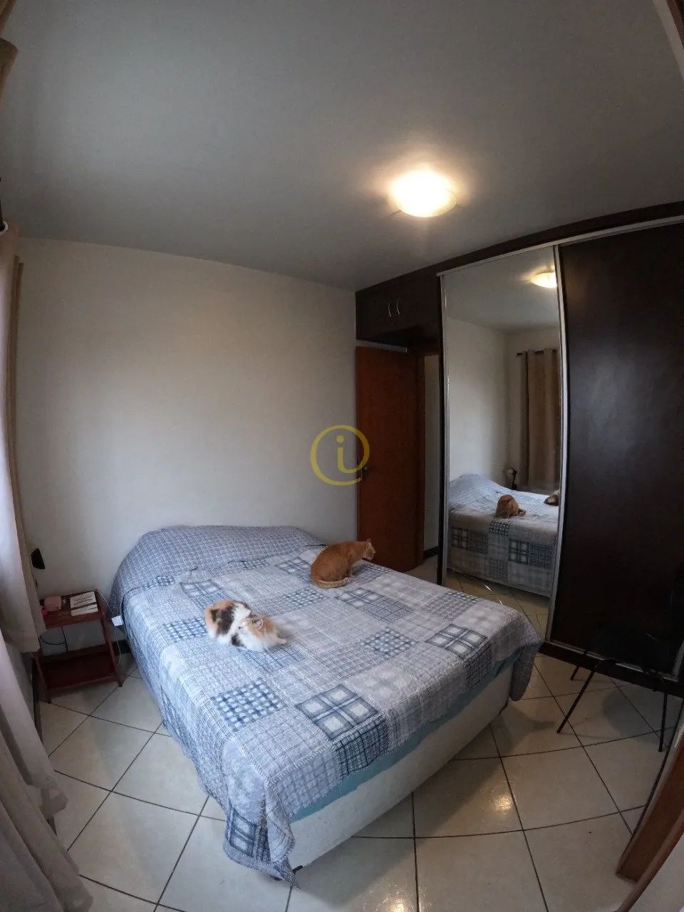 Apartamento para Venda no Castelo, BH - Foto 3