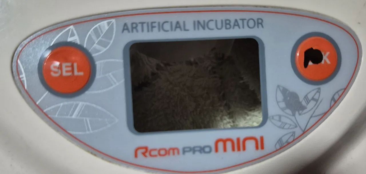 Chocadeira Automática Rcom Pro Mini - Foto 2