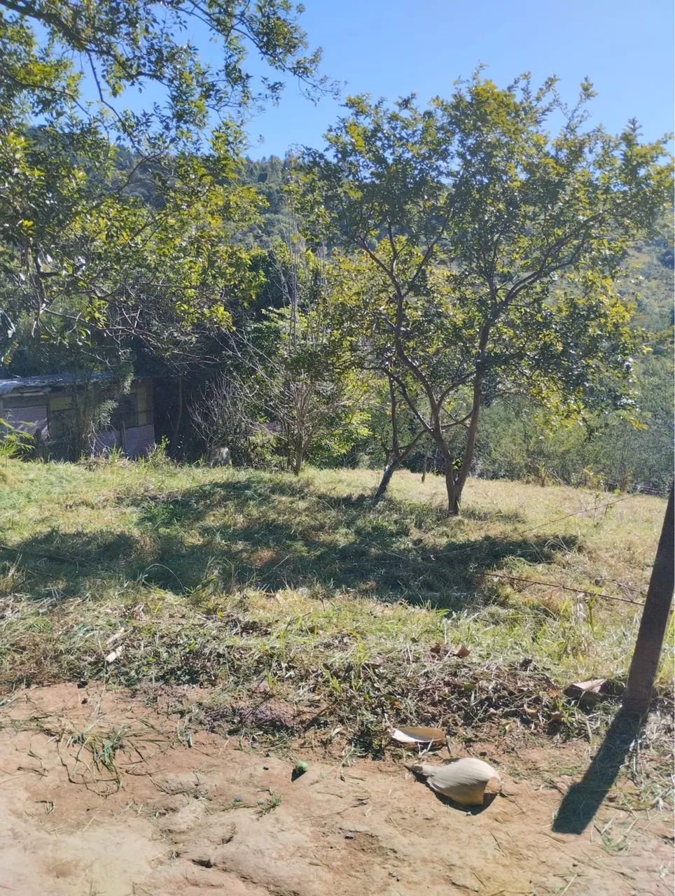 Foto - Gravataí - COHAB C