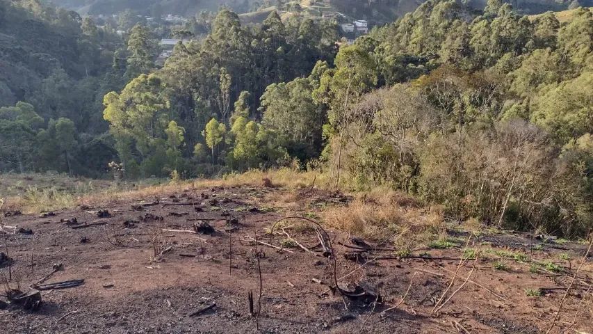 Lindo sitio de 35.000m2 no Sul de Minas!! Delfim Moreira MG - Foto 5
