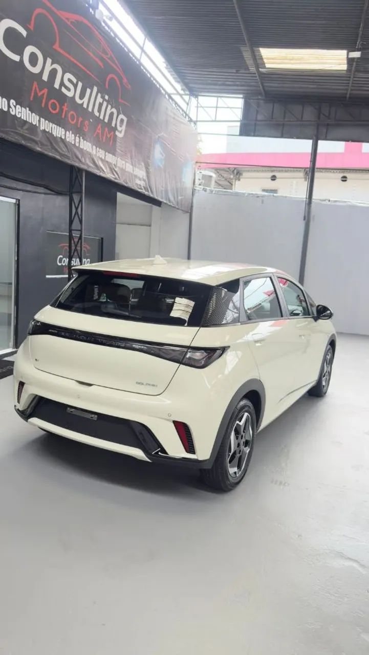 BYD Dolphin GS (Elétrico) 2027 - Foto 3