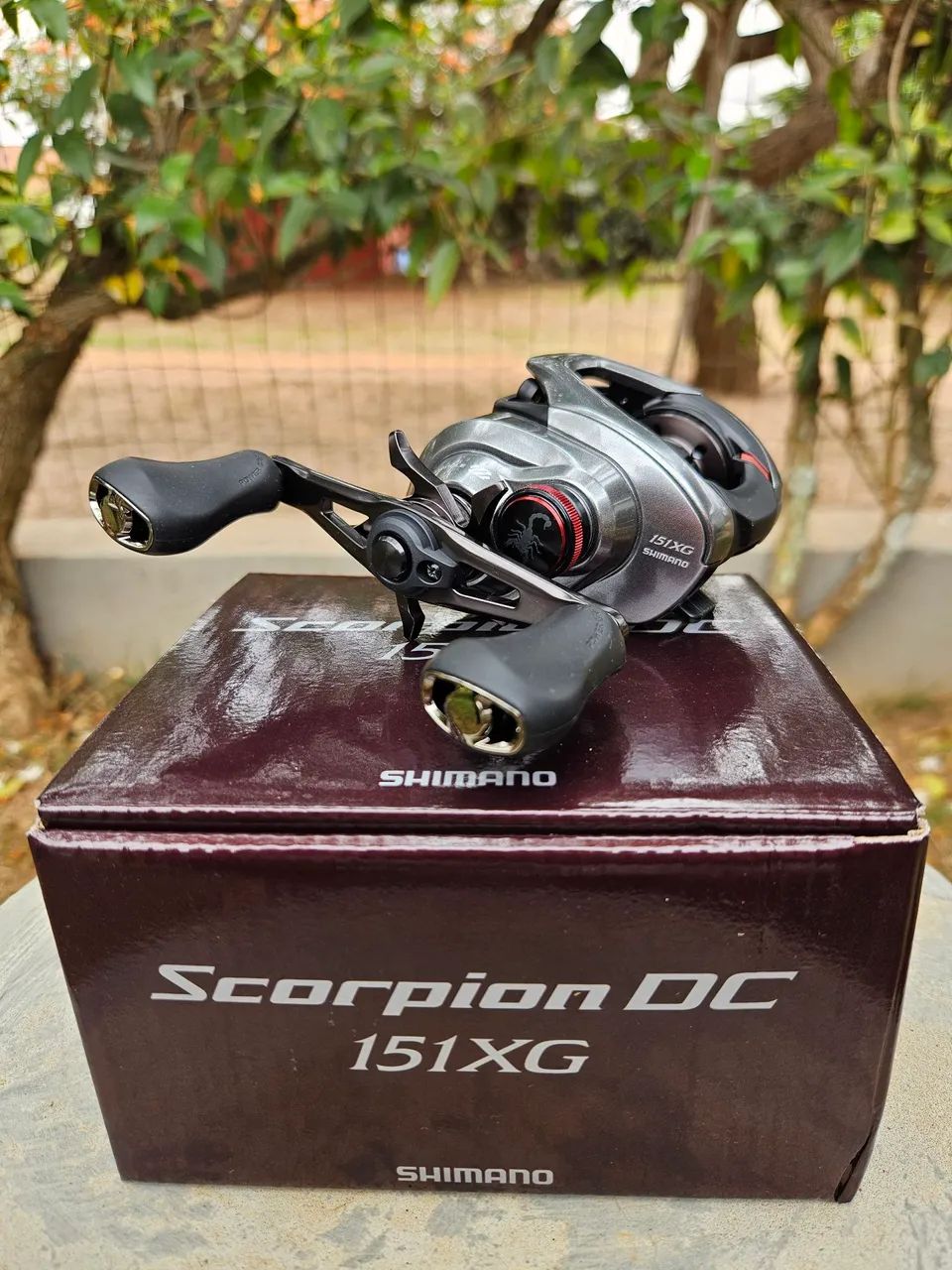 Carretilha Shimano Scorpion DC 151XG - [NOVA] - Esportes Aquáticos
