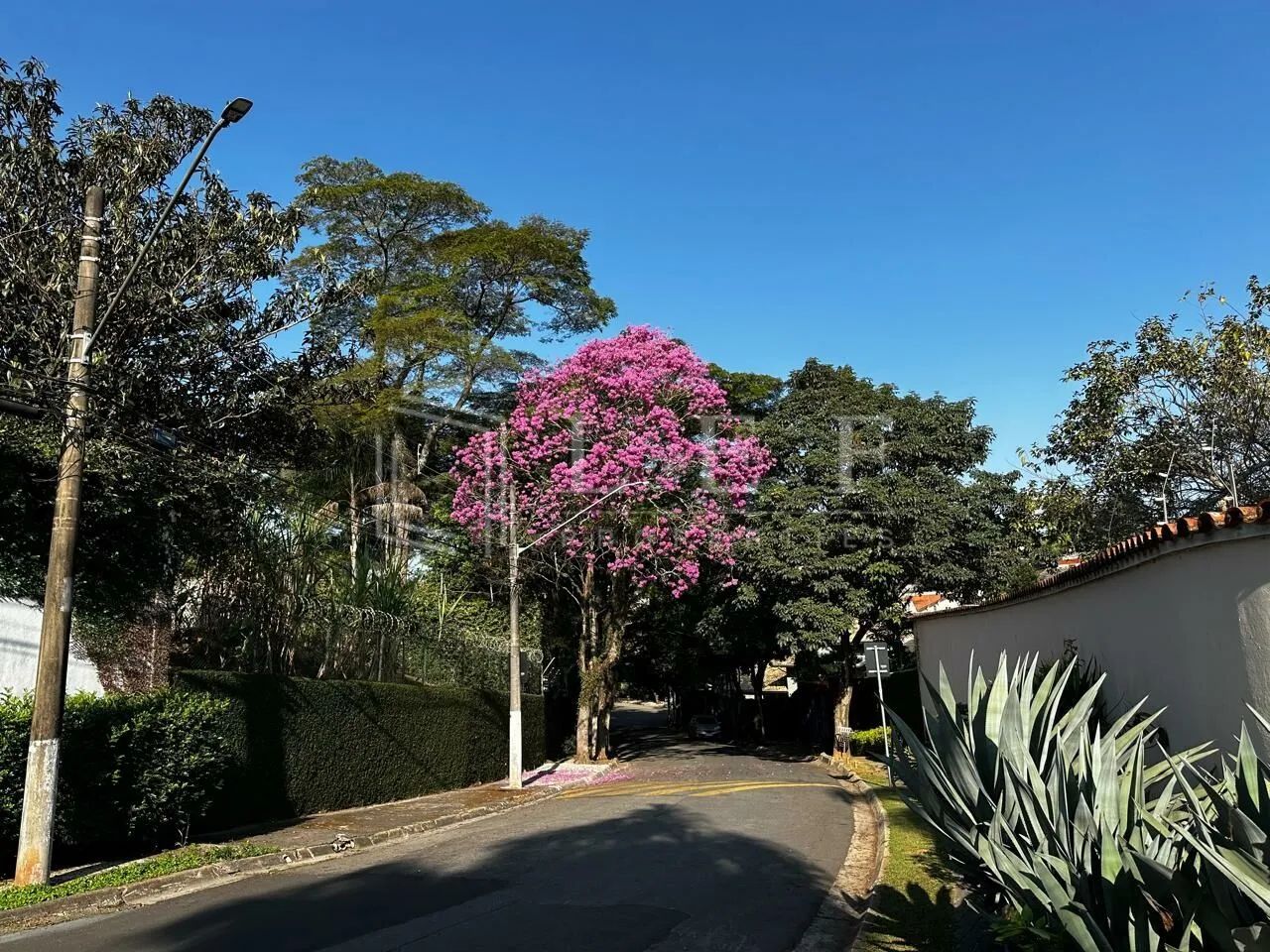 R.Rubens do Amaral,S/N - Morumbi - Terreno - Foto 2