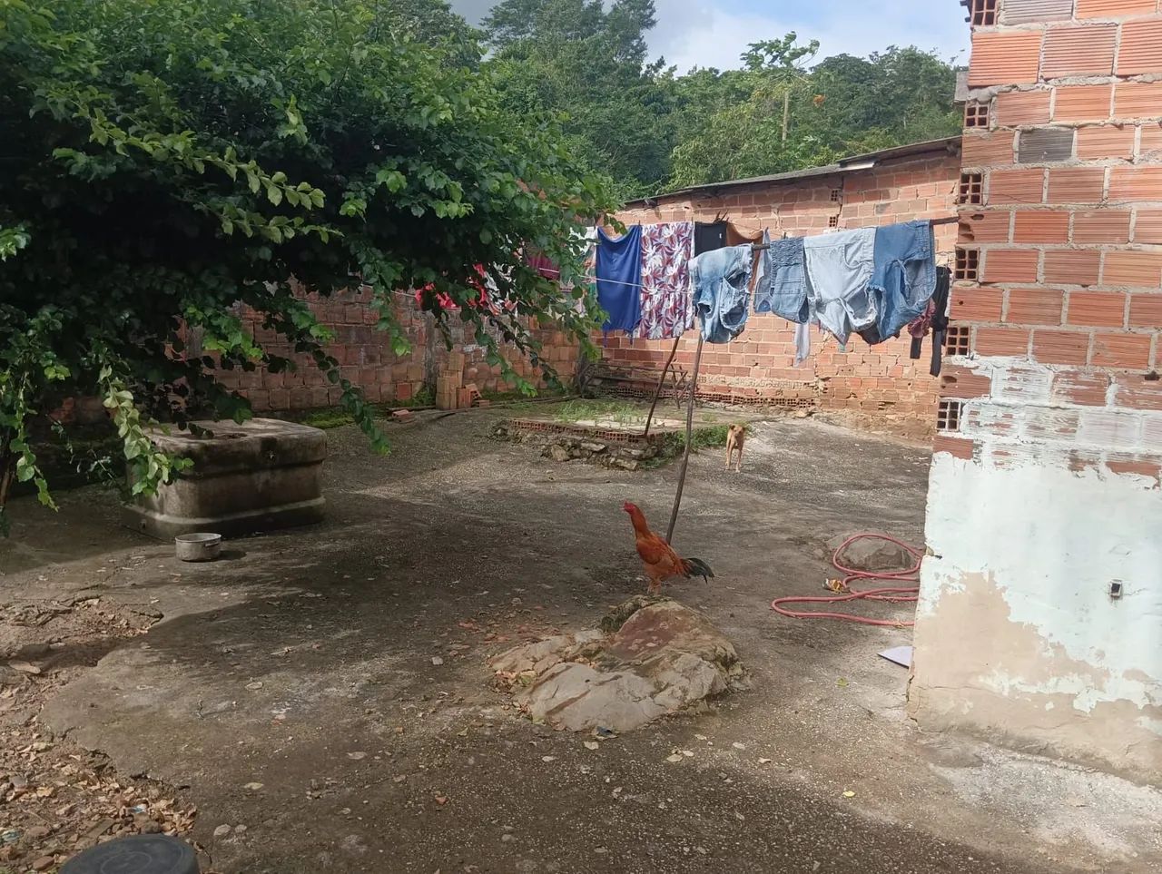 Vende-se Casa com grande terreno do lado - Foto 3