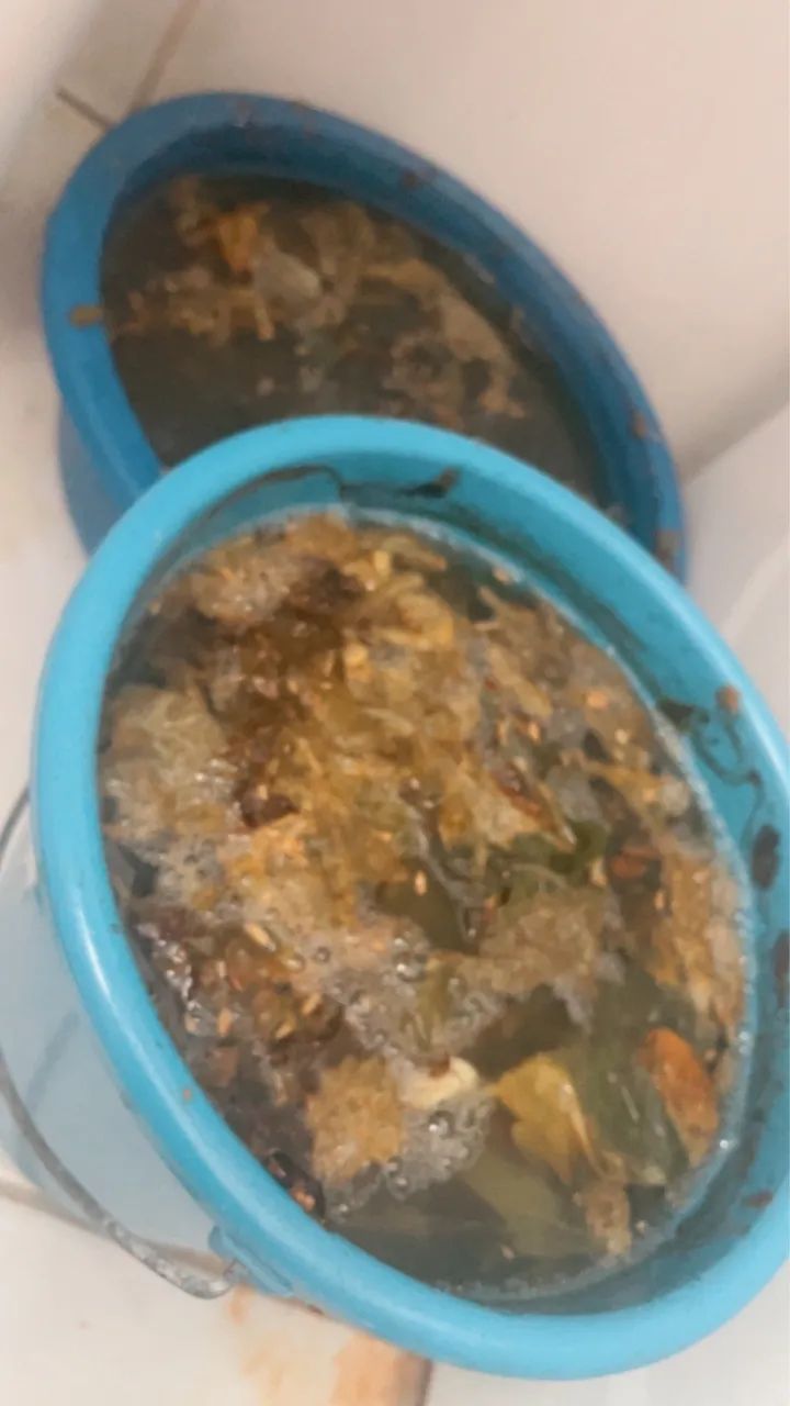 Banho de ervas com axé para limpeza espiritual - Foto 2